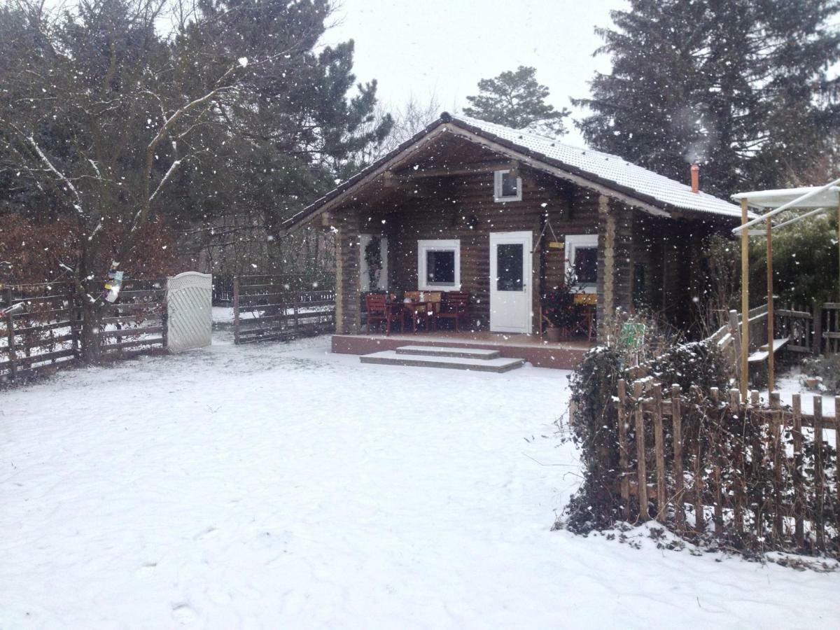 Gemütliche Blockhütte in Wiennähe Zofing Exterior foto